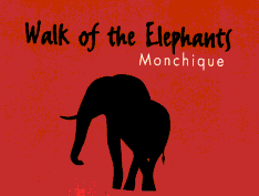 Hier klicken und schon können Sie die CD bestellen.